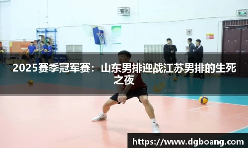 2025赛季冠军赛：山东男排迎战江苏男排的生死之夜